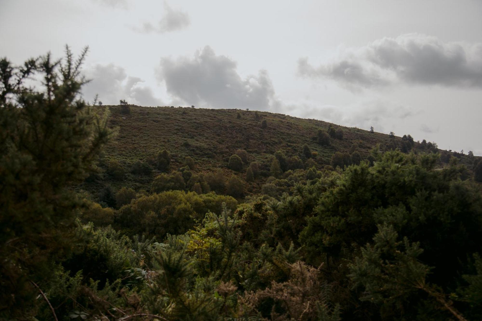 The Deerstone Luxury Eco Hideaway Laragh Exterior foto
