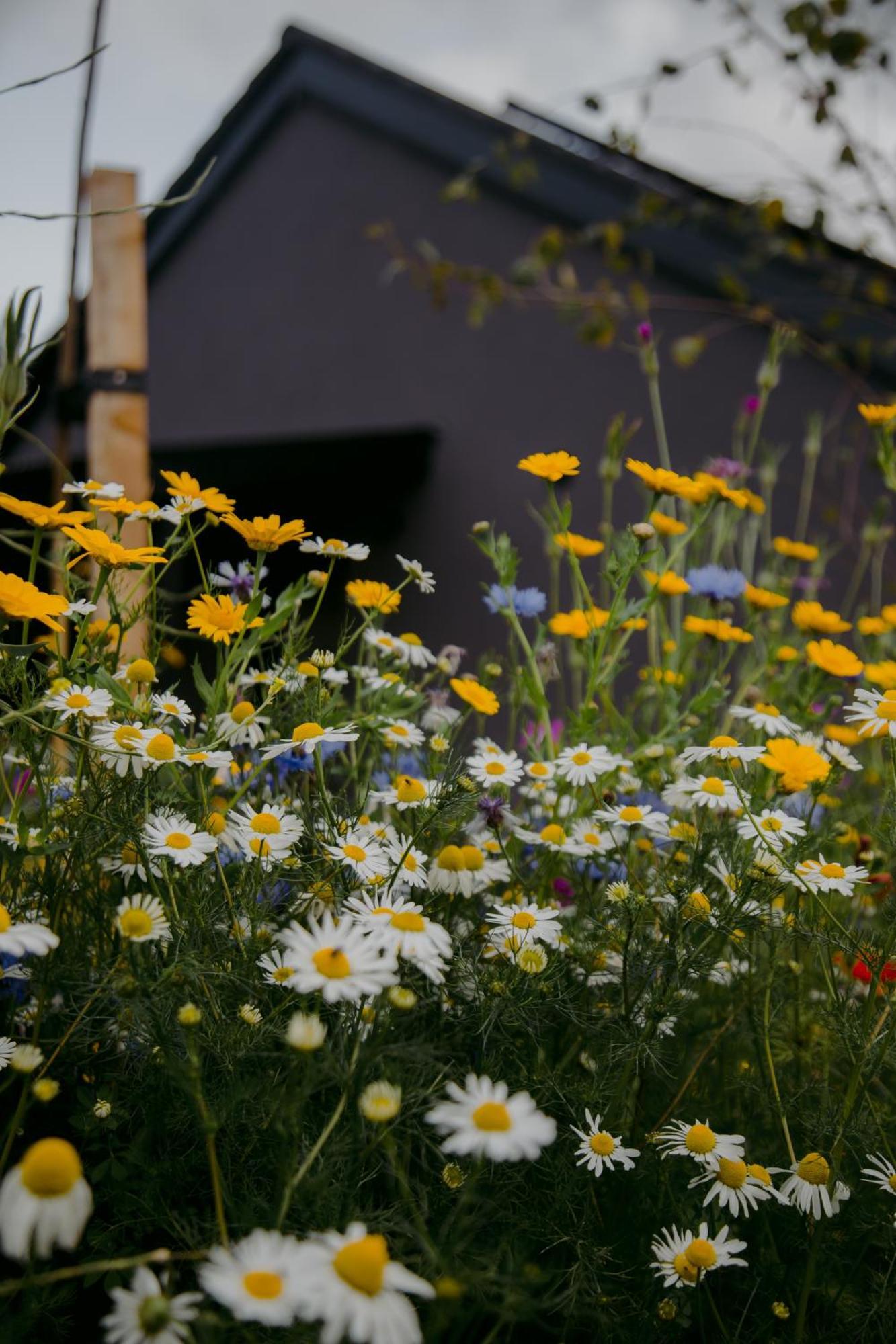 The Deerstone Luxury Eco Hideaway Laragh Exterior foto