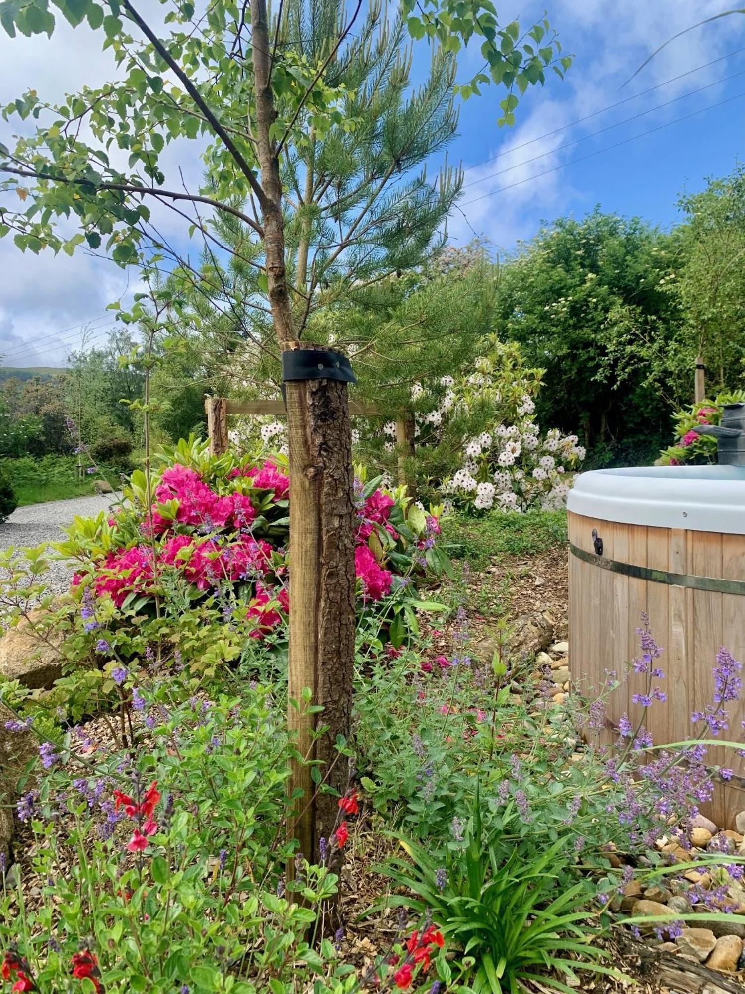 The Deerstone Luxury Eco Hideaway Laragh Exterior foto