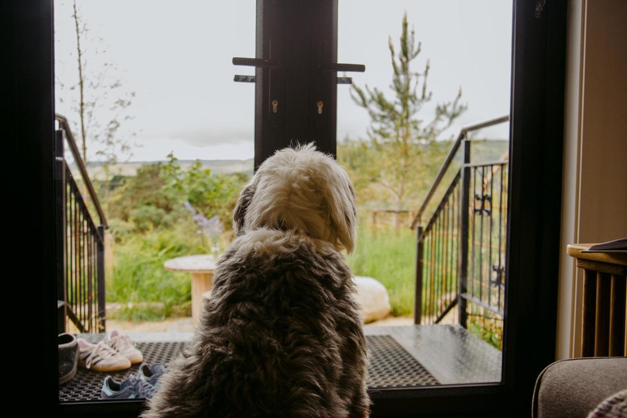 The Deerstone Luxury Eco Hideaway Laragh Exterior foto